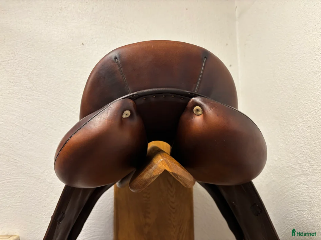 Sadlar hästutrustning till salu: Antares Dressyrsadel 17” - Annons 2