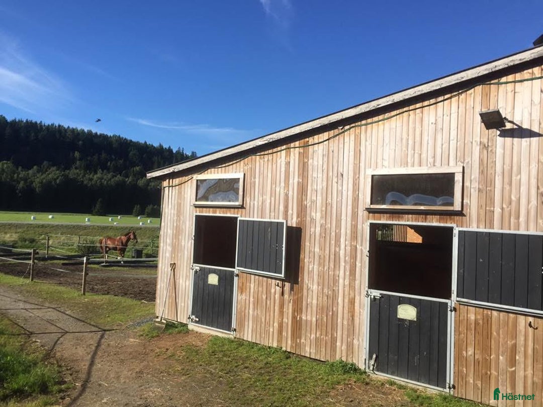  stallplats finnes: Lösdrift  i Rävlanda - Bild 4