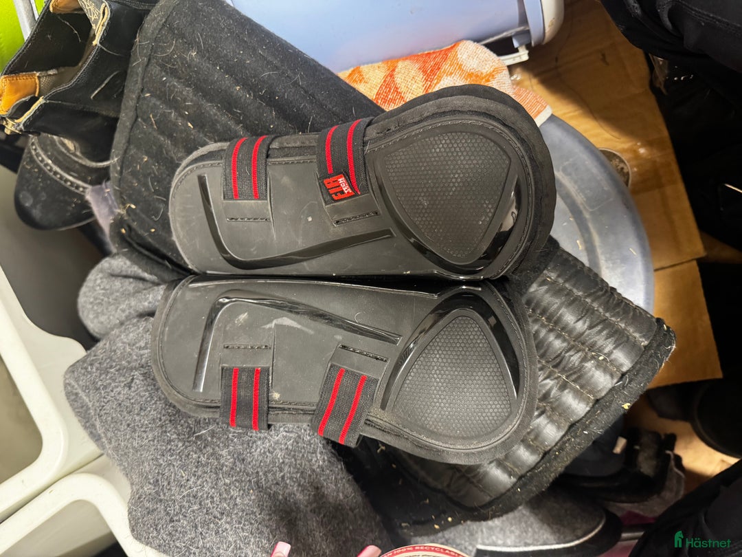 Benskydd hästutrustning till salu: Catago Benskydd i Kimstad - Annons 2