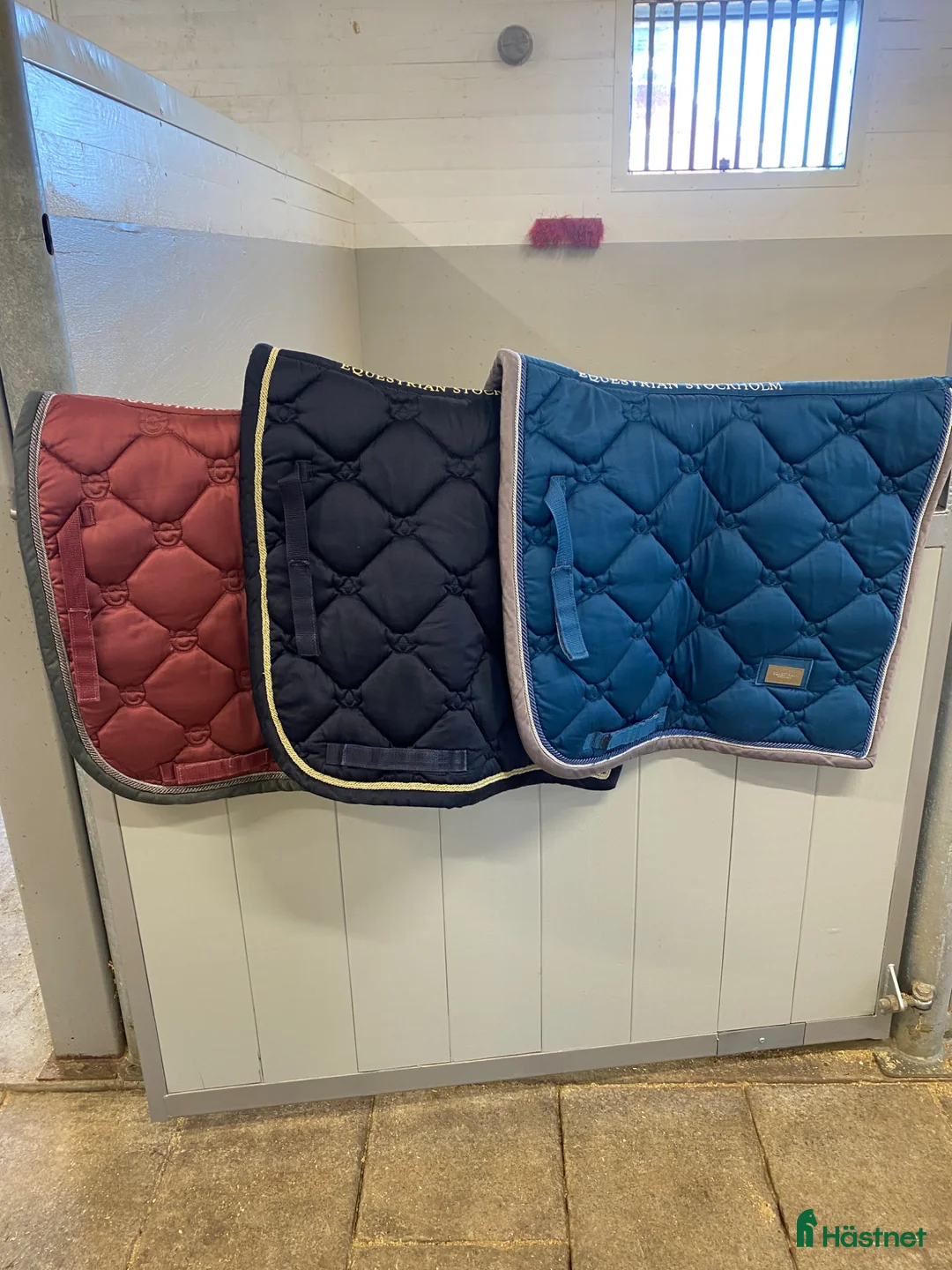 Schabrak & Vojlockar hästutrustning till salu: Equestrian dressyr schabrak - Annons 1