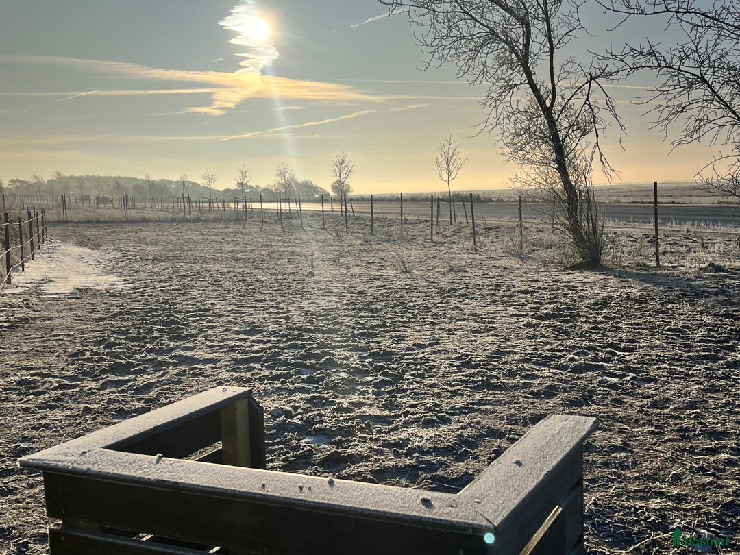  stallplats finnes: Lediga stallplatser!  i Tvååker - Annons 8