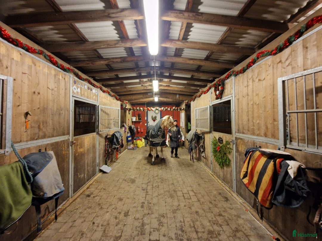  stallplats finnes: Boxplats med lång utevistelse i Åkersberga - Annons 9