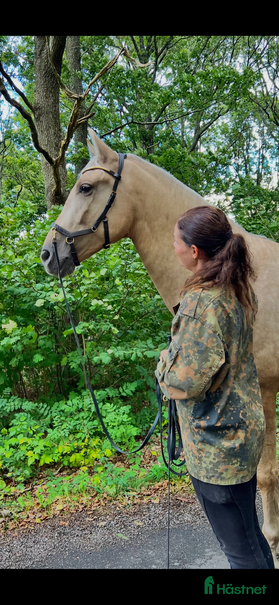 Övrigt hästar till salu: Vacker lyxig PRE med fantastisk potential i Onsala - Annons 4