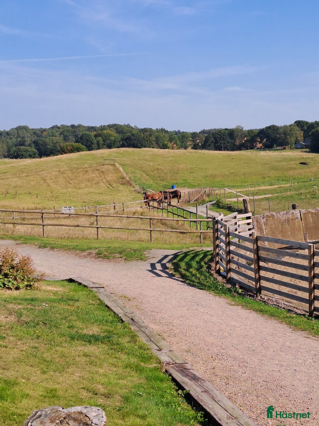 stallplats finnes: Boxplats  i Sjöbo - Annons 5