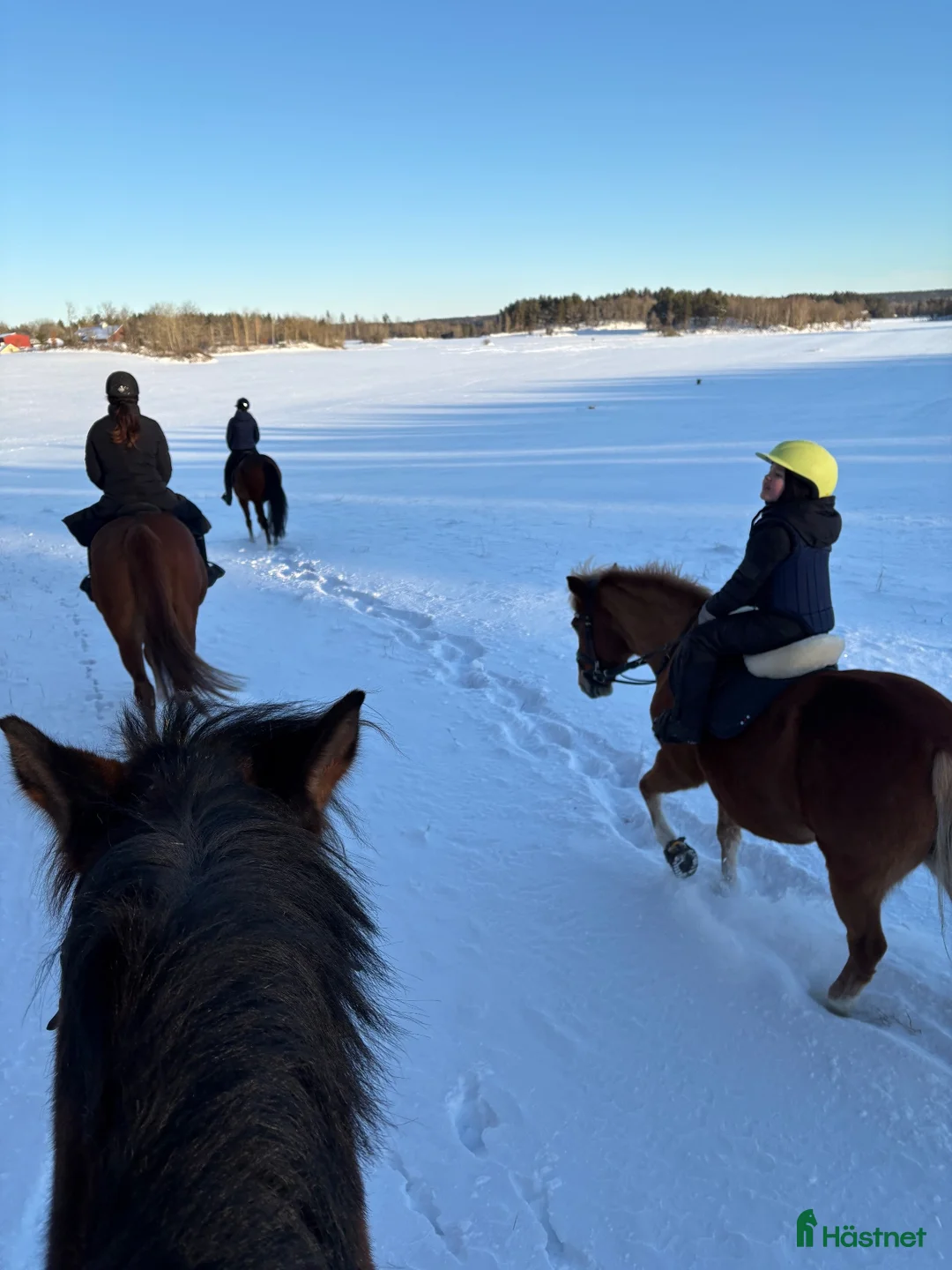  stallplats finnes: Tvärdala/Västra Husby - Annons 14