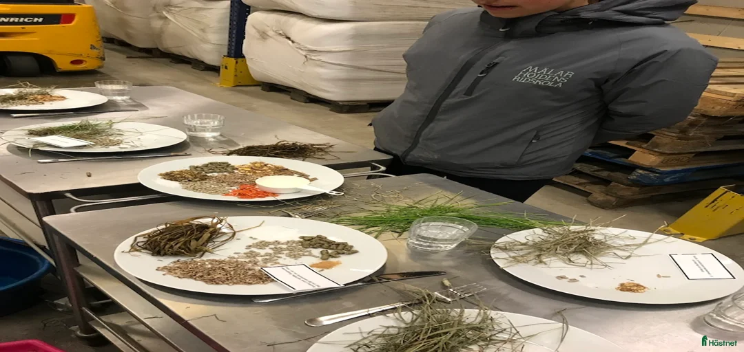 Galleribild {{count}}