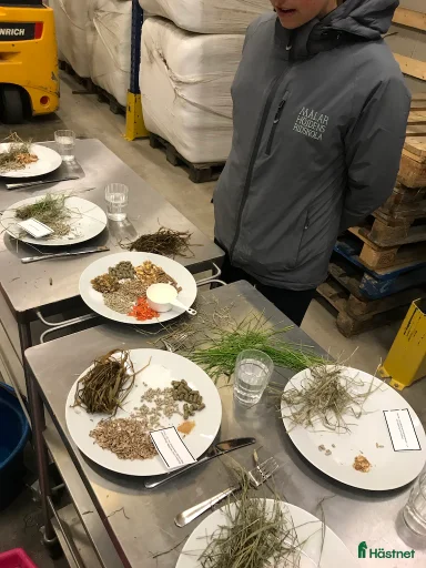 Galleribild {{count}}