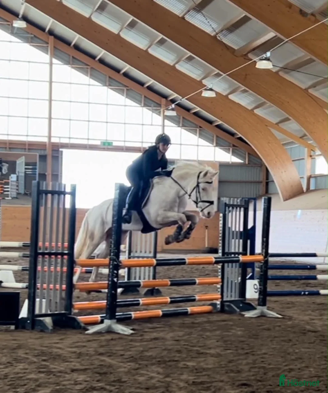 Hoppning hästar till salu: D ponny,  eu I Love You Melody  - Annons 2