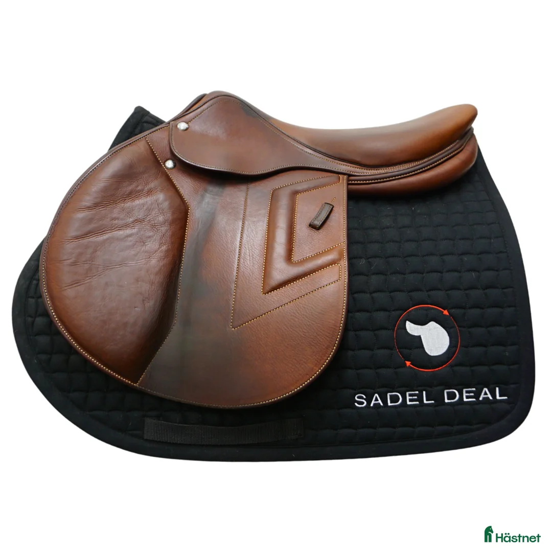 Sadlar hästutrustning till salu: Renaissance F 18" - Annons 1