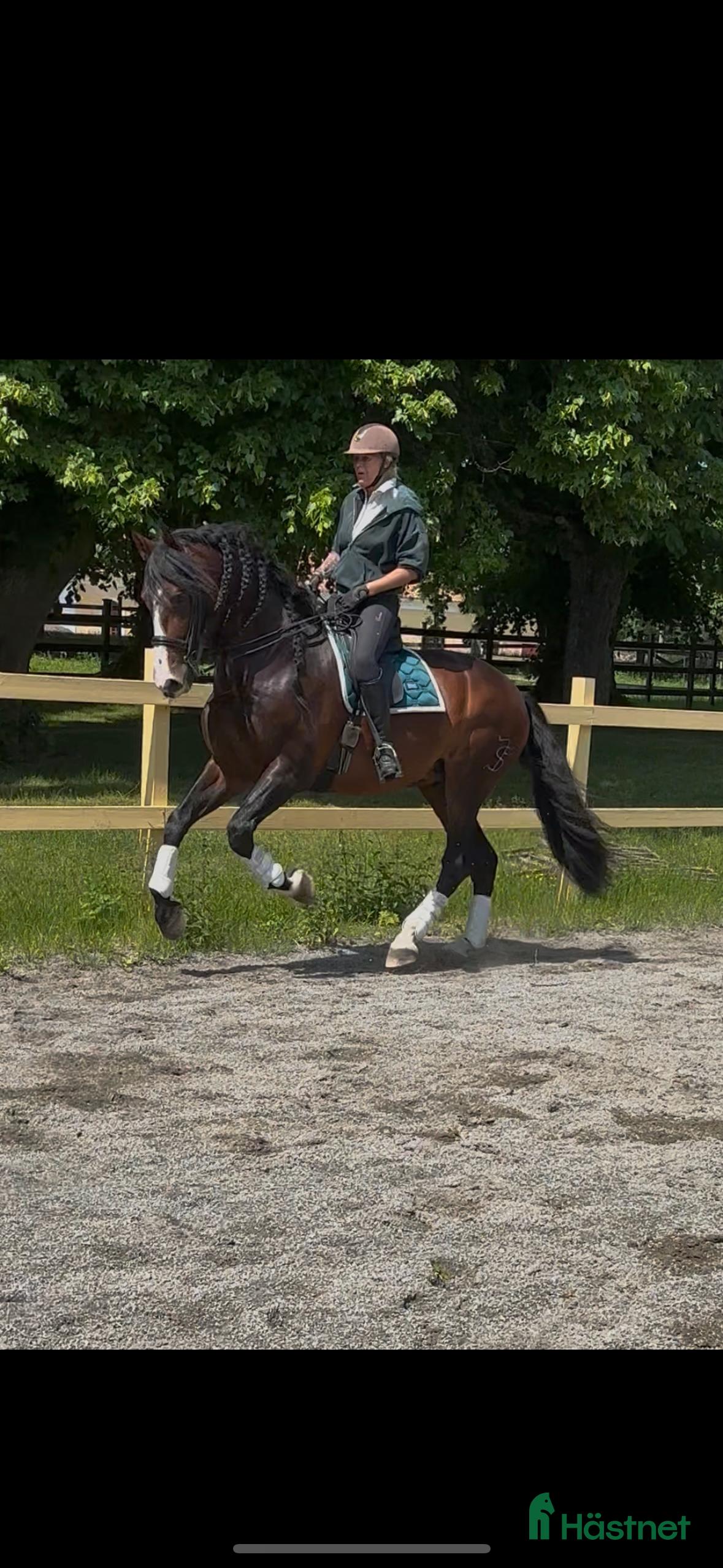  hästar Min drömhäst är tillsalu  i Vretstorp - Annons 1