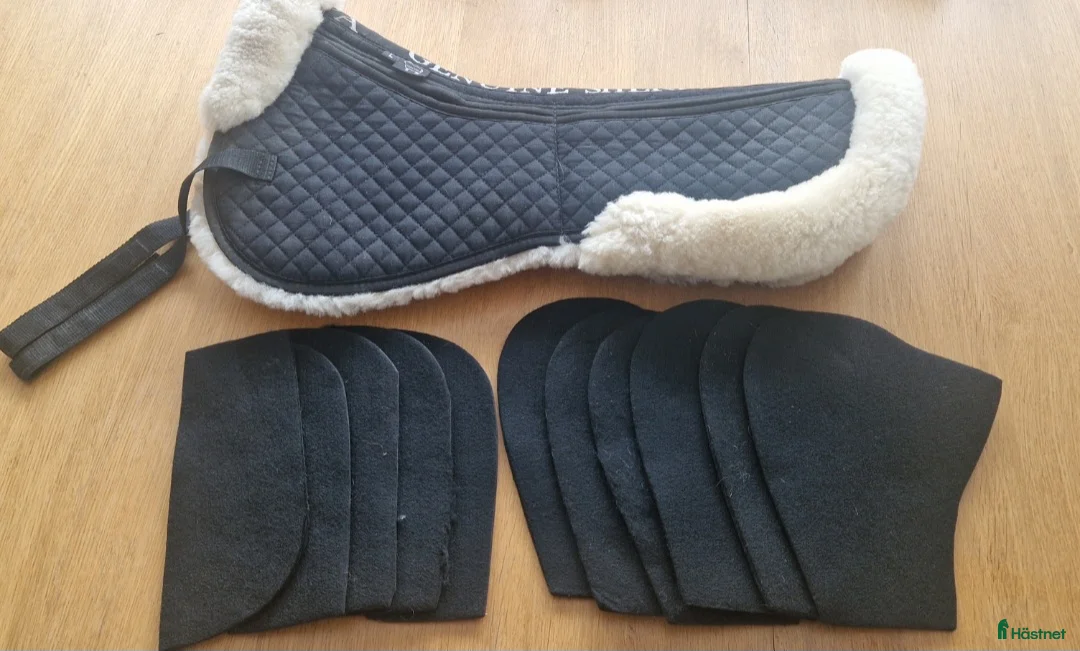 Övrig Hästutrustning hästutrustning till salu: Fårskinnspad Anatomic Genuine Sherpa - Annons 4