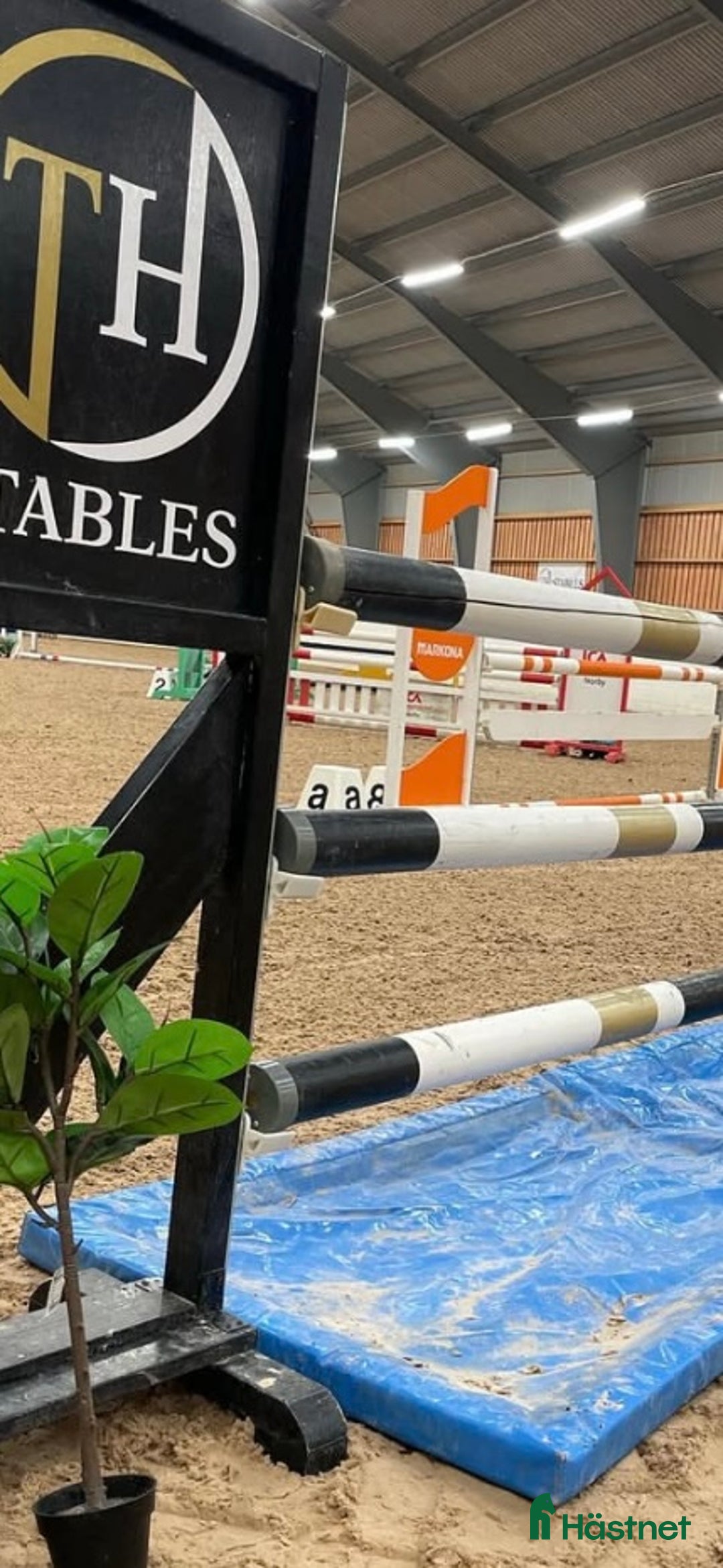  stallplats finnes: Ledig stallplats i Uppsala - Annons 1