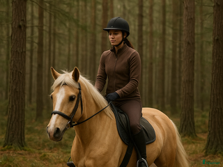 medryttarhäst sökes: Medryttarhäst sökes runt Uppsala i Rimbo - Annons 1