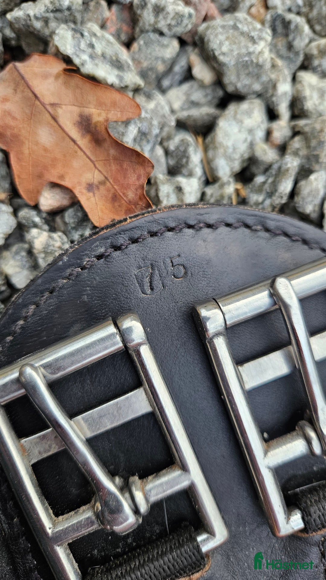 Sadeltillbehör hästutrustning till salu: Eric le tixerant dressyrgjord i Enköping - Annons 3