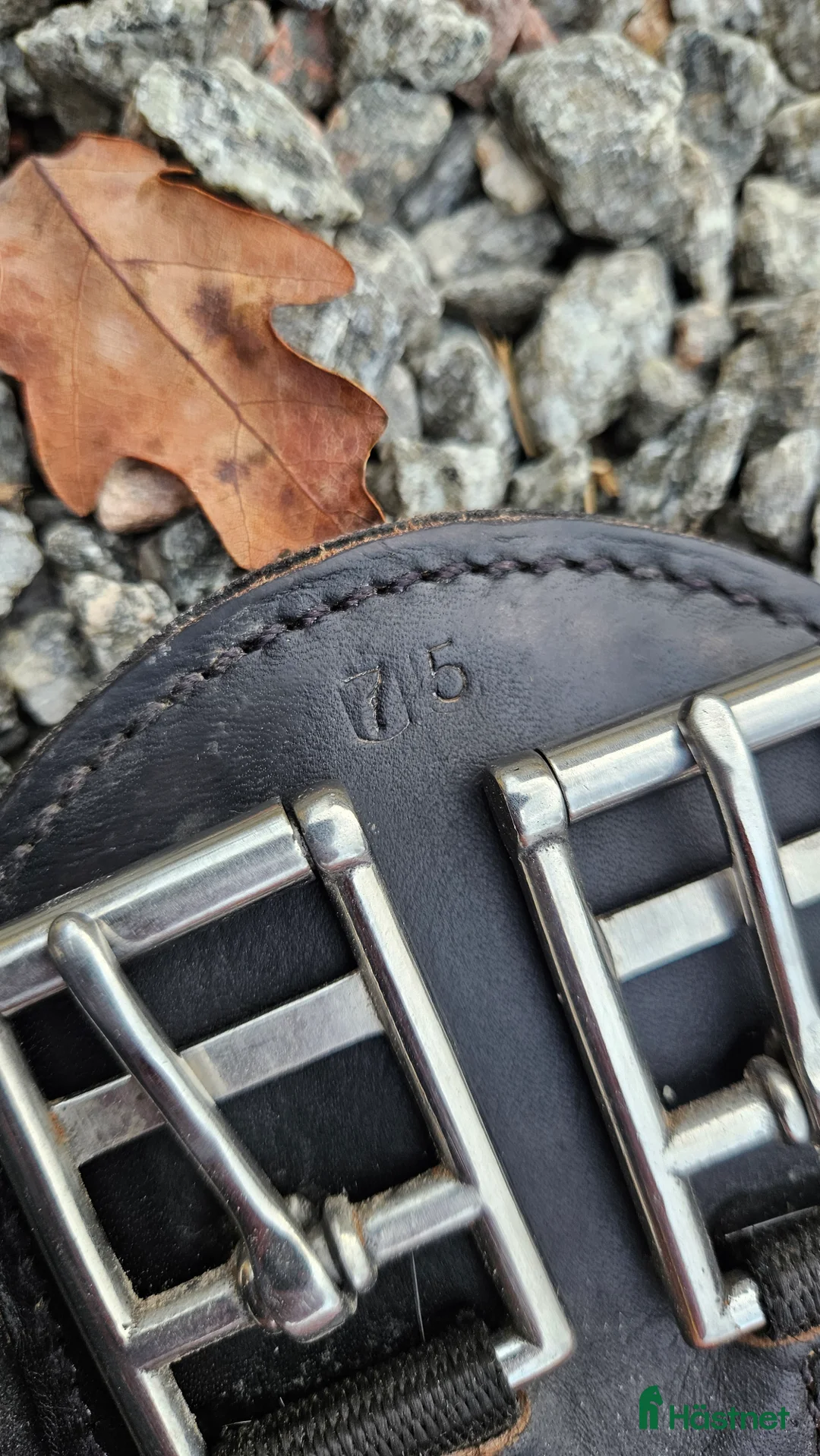 Sadeltillbehör hästutrustning till salu: Eric le tixerant dressyrgjord i Enköping - Annons 3