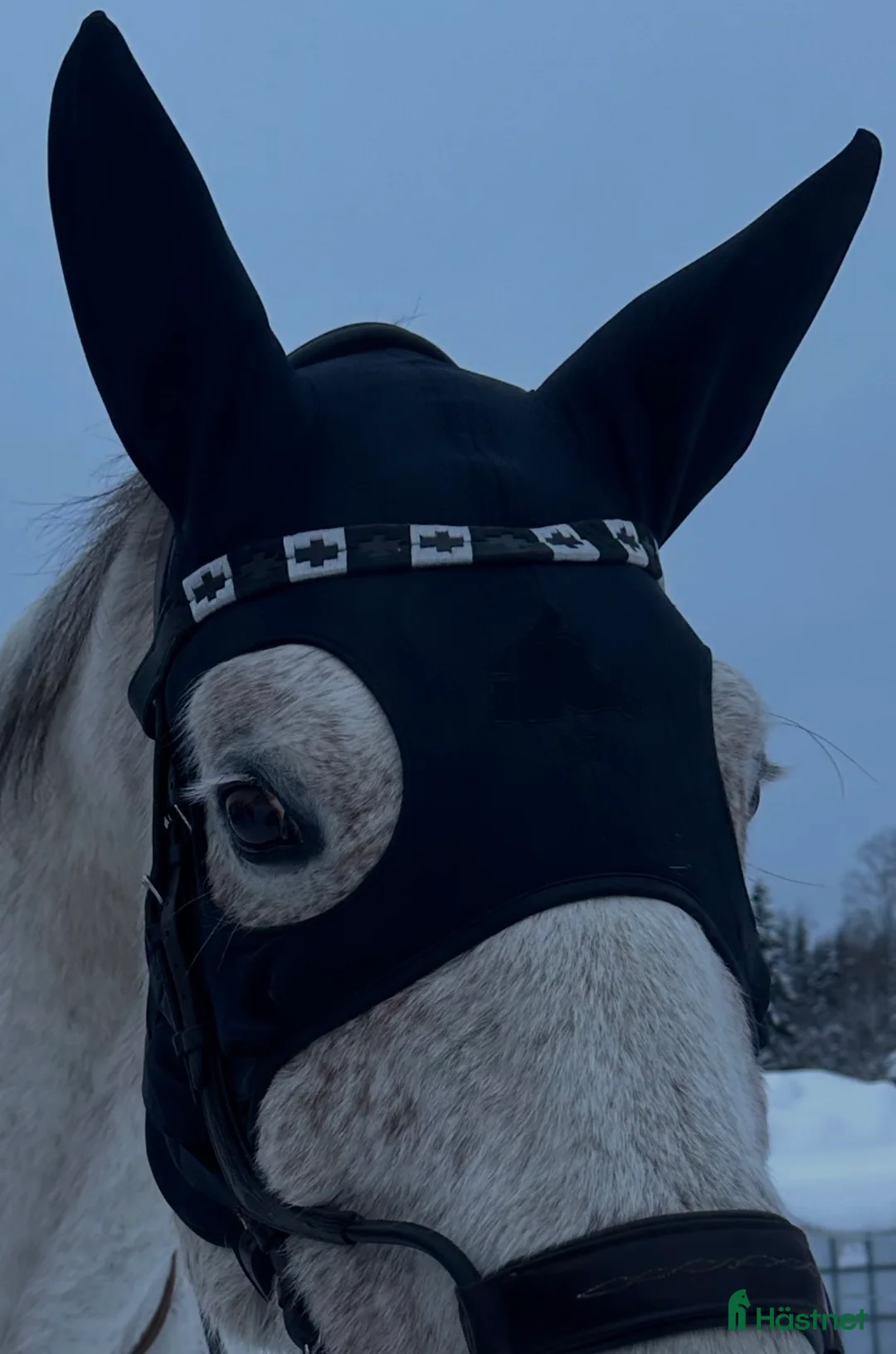 Övrig Hästutrustning hästutrustning till salu: Fenwick stresshuva  - Annons 1