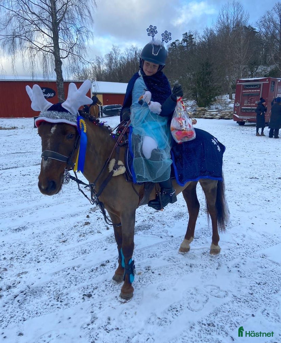 Hoppning hästar till salu: Fantastisk Läromästare  i Sävsjö - Annons 13
