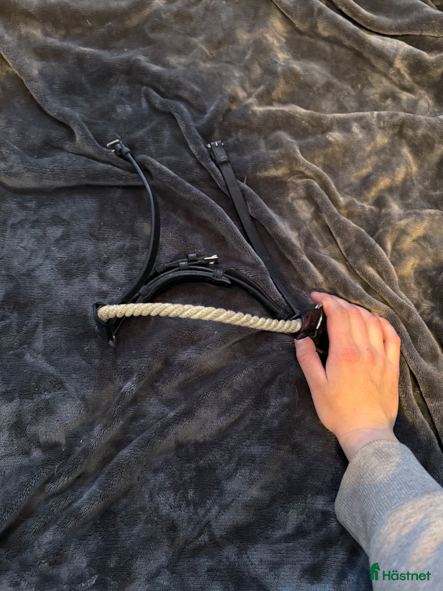 Träns hästutrustning Remontnosgrimma från Dyon - Annons 4