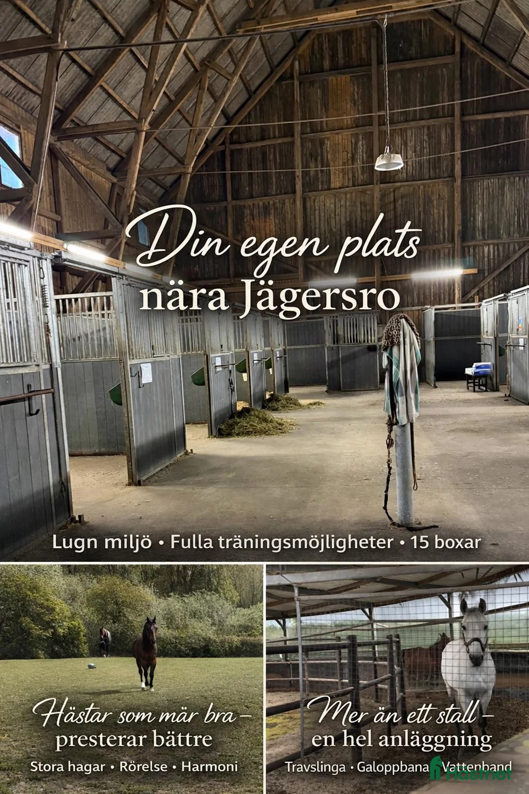  stallplats finnes: Stall uthyres – 15 boxar eller 8 boxar stall - Annons 1