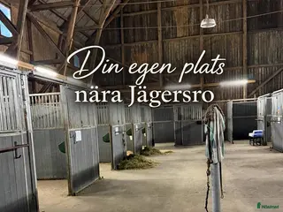stallplats Stall uthyres – 15 boxar eller 8 boxar stall - Annons 1