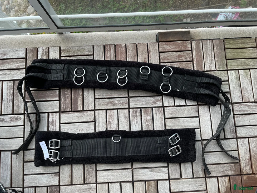 Övrig Hästutrustning hästutrustning till salu: Longeringsgjord, pony - Annons 1