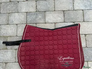 Schabrak & Vojlockar hästutrustning Equilineschabrak - Annons 14