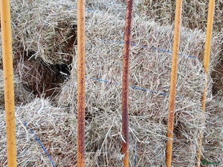 Övrig utrustning övrig utrustning till salu: Småbalshö i Ljung - Annons 24