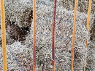 Övrig utrustning övrig utrustning till salu: Småbalshö i Ljung - Annons 23