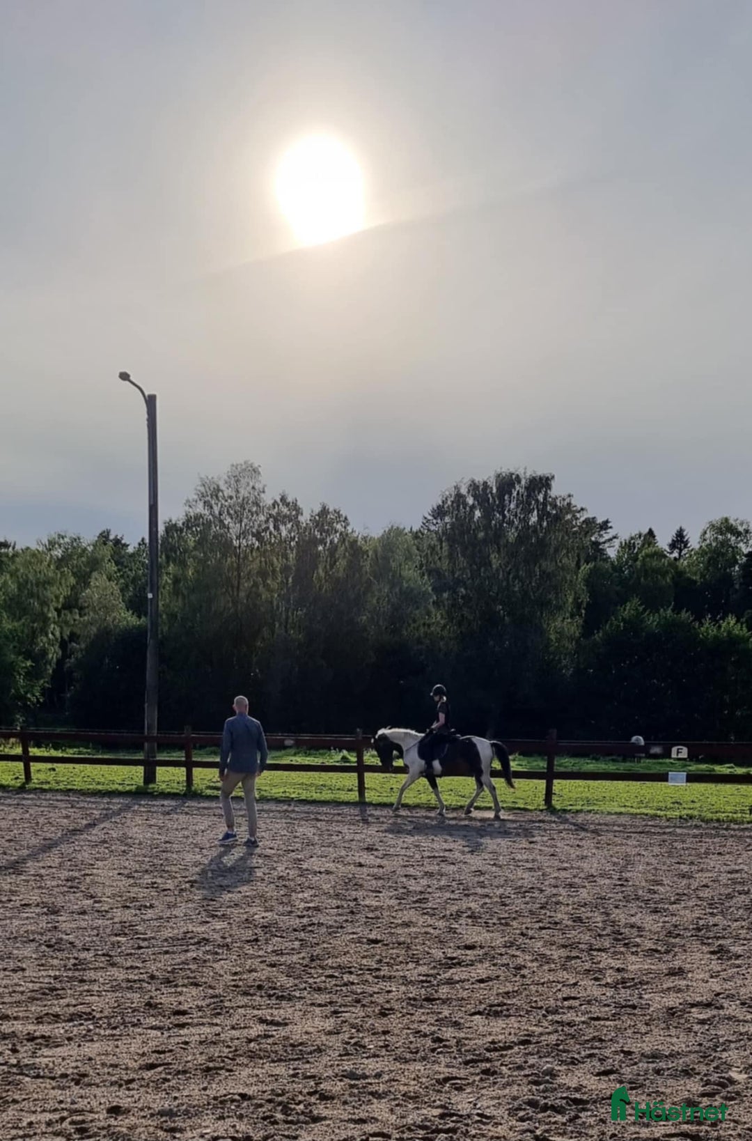 Allround hästar till salu: Dags för vår fina Charlie att hitta en ny ryttare i Munkedal - Annons 1