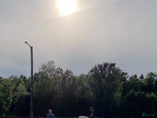 Allround hästar till salu: Dags för vår fina Charlie att hitta en ny ryttare i Munkedal - Annons 1