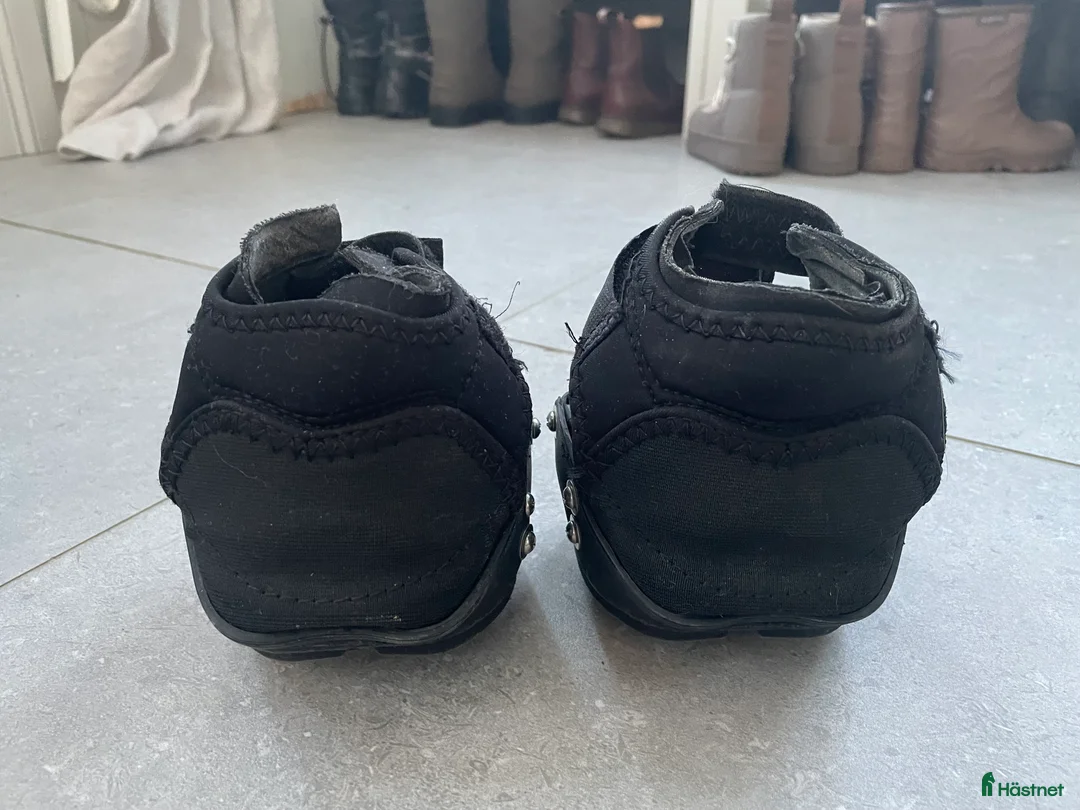 Övrig Hästutrustning hästutrustning till salu: Easyboots Epic strl 000 - Annons 2