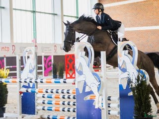 hästar Talangfull hopphäst med stor potential i Stockholm - Annons 6