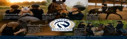  stallplats finnes: Lediga Stallplatser på Ystad Ridklubb  - Annons 1