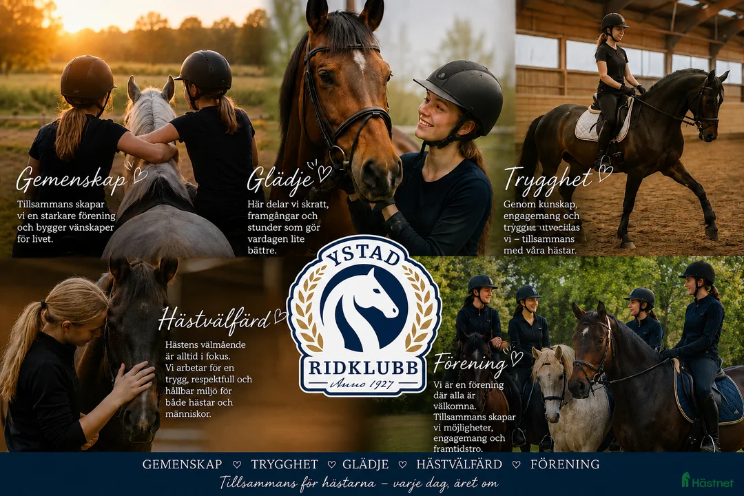  stallplats finnes: Lediga Stallplatser på Ystad Ridklubb  - Annons 1