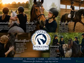 stallplats Lediga Stallplatser på Ystad Ridklubb - Annons 11