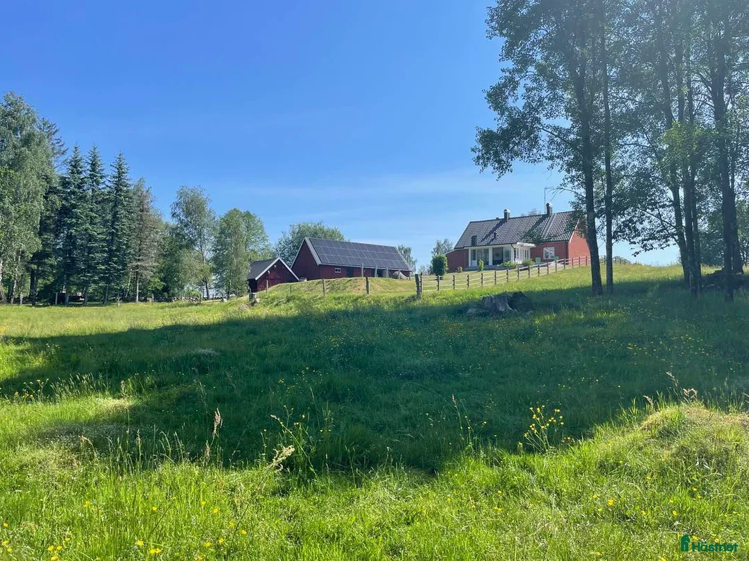 stallplats finnes: Bete - lösdriftsplats i Bjärnum - Annons 2