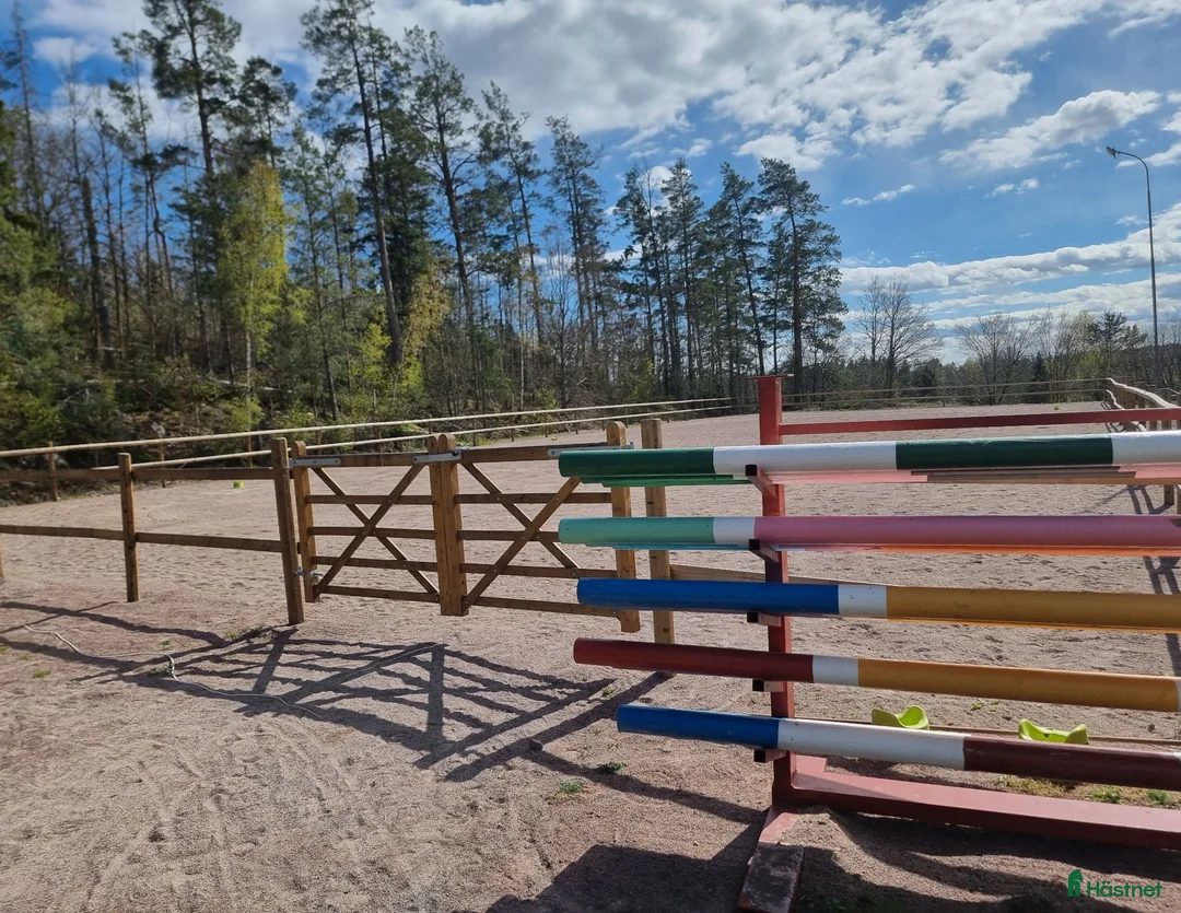  stallplats finnes: Lösdrift/stallplats - Annons 1