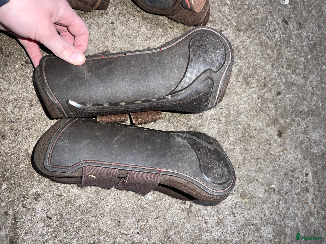 Benskydd hästutrustning till salu: Benskydd/Boots i Växjö - Annons 5