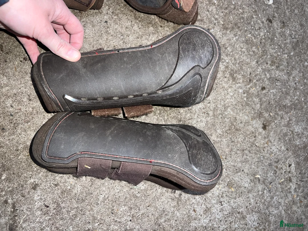 Benskydd hästutrustning till salu: Benskydd/Boots i Växjö - Annons 5