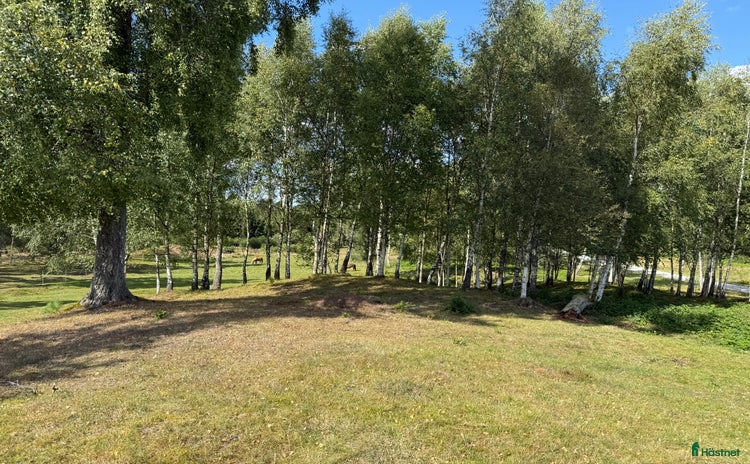  stallplats i Tyringe - Annons 10
