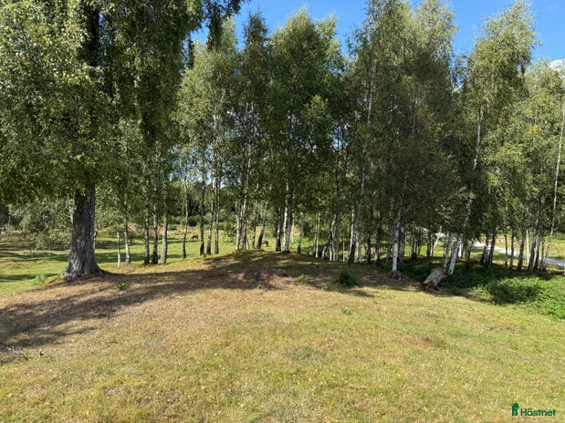stallplats i Tyringe - Annons 10