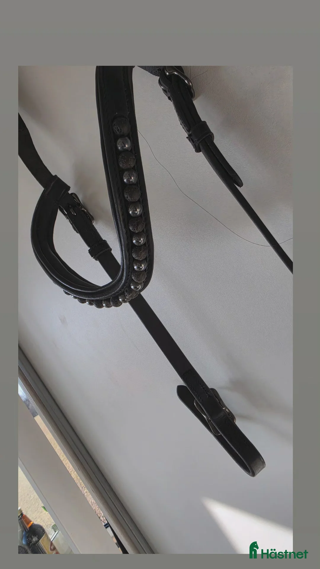 Träns hästutrustning till salu: Islandsträns - Annons 2