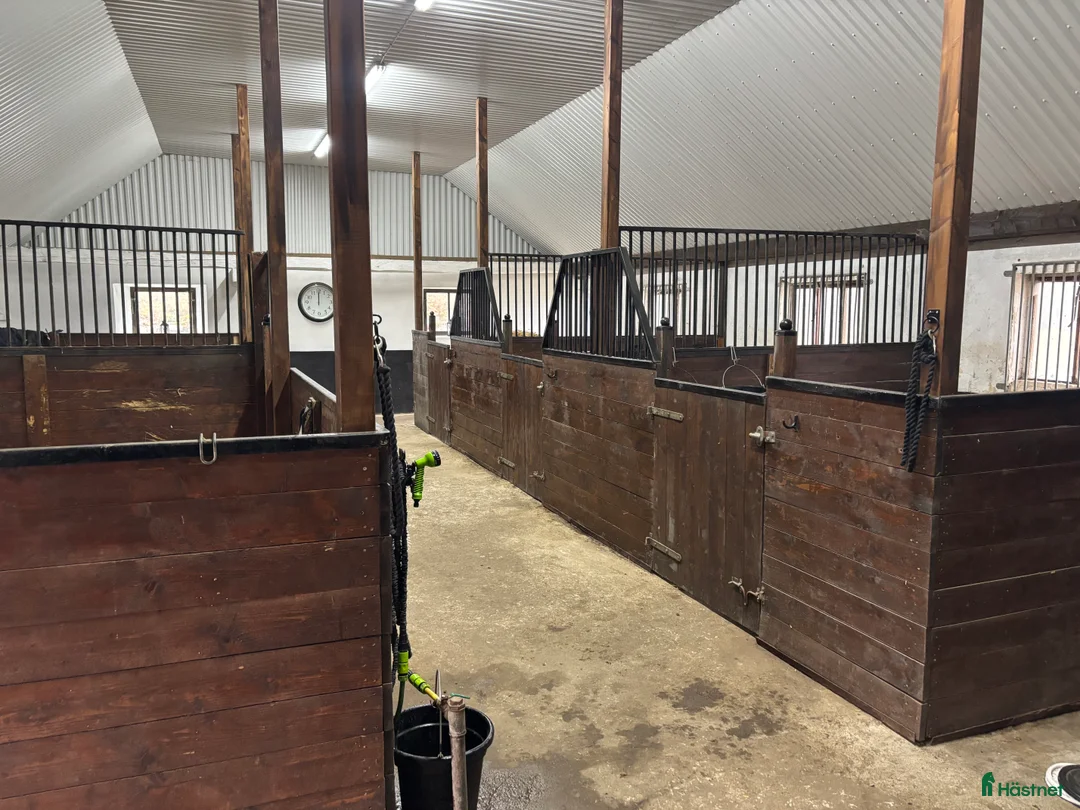  stallplats finnes: Boxplats i Hörby - Annons 1