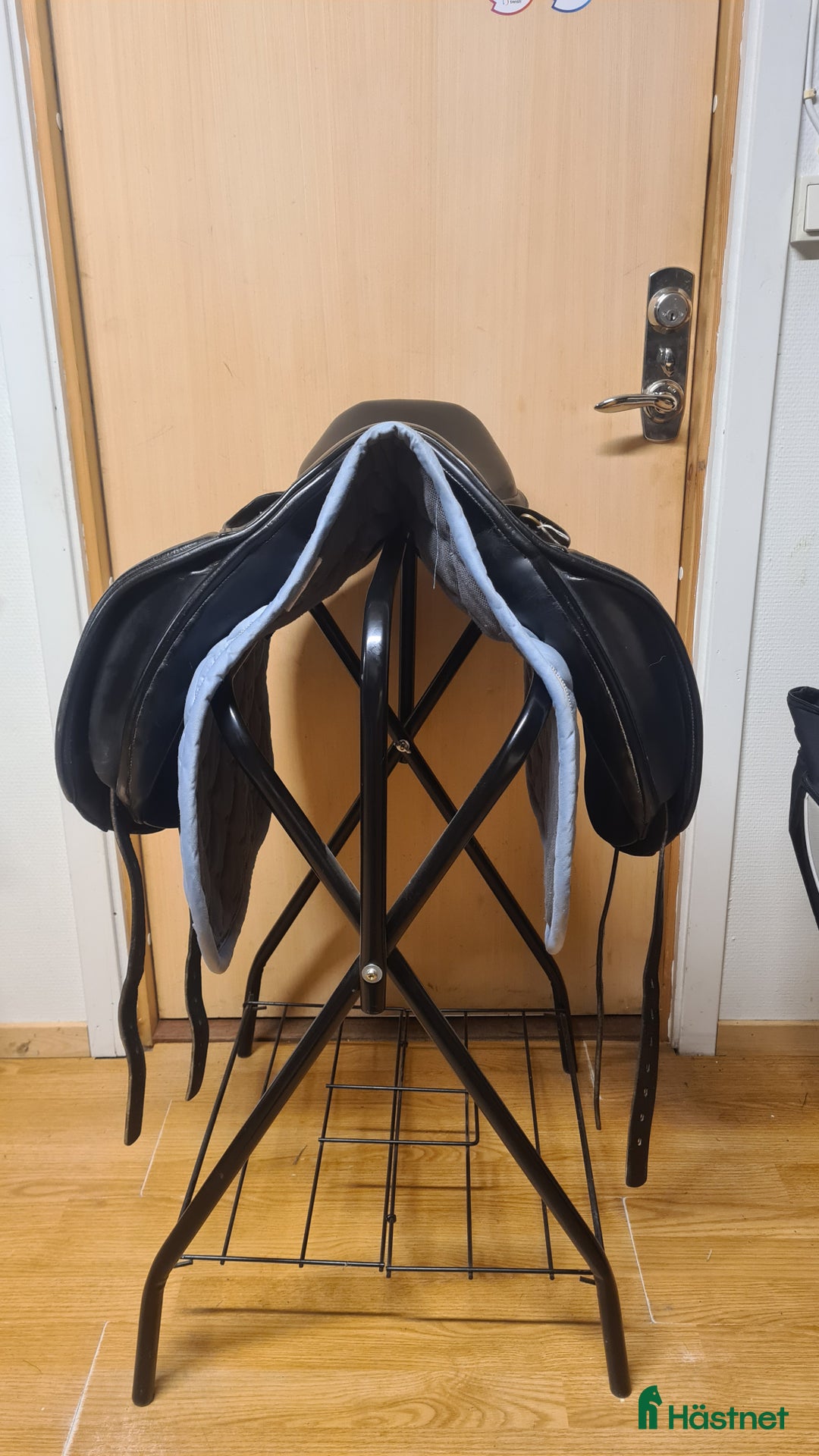 Sadlar hästutrustning till salu: Santa Cruz i Hamneda - Annons 3