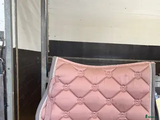 Schabrak & Vojlockar hästutrustning Equestrian Stockholm Pink Pearl Pony Schabrak - Annons 4