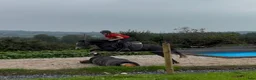 Hoppning hästar till salu: Connemara mare - Annons 7