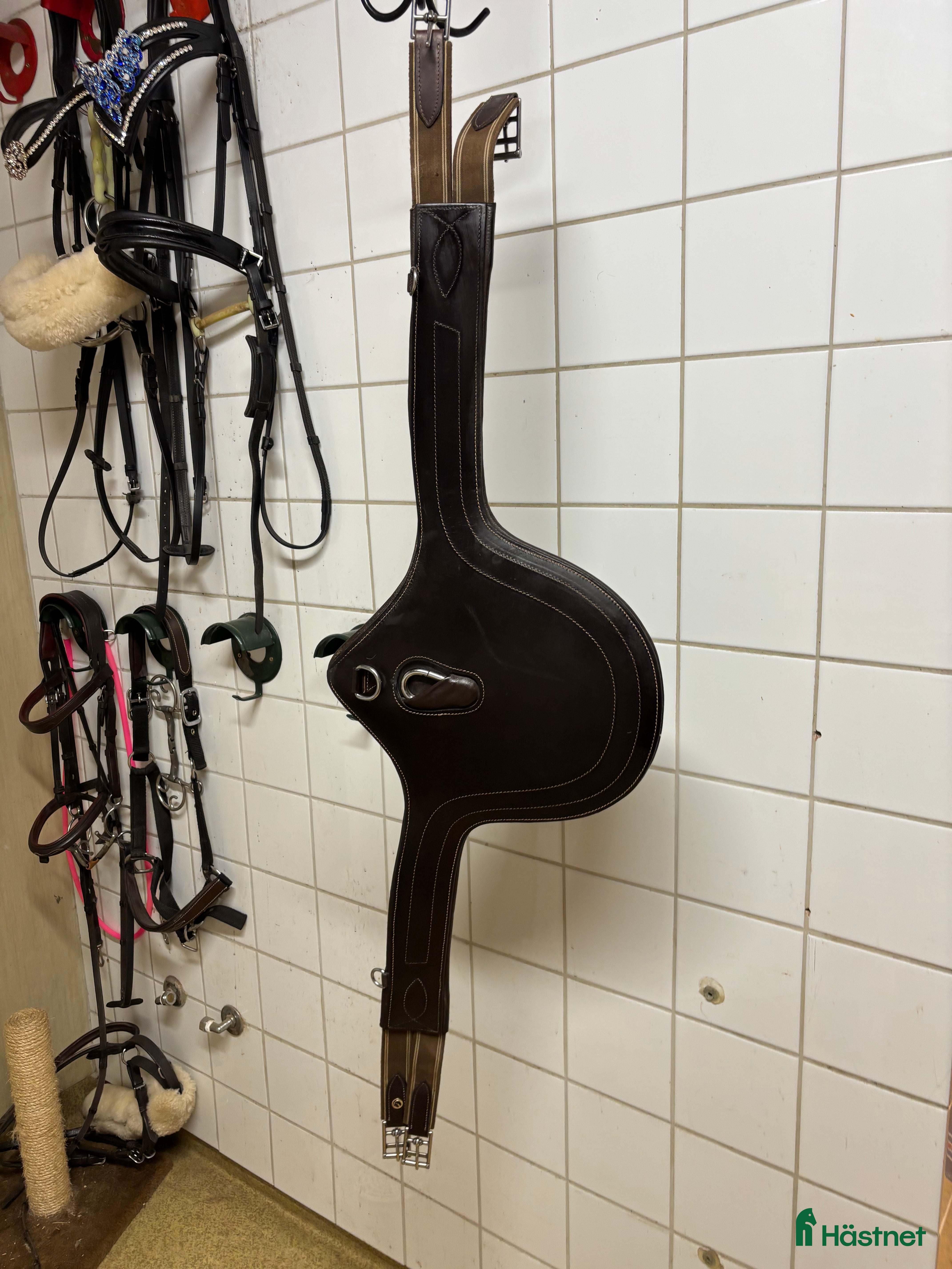 Sadeltillbehör hästutrustning Sadelgjord  i Örebro - Annons 15