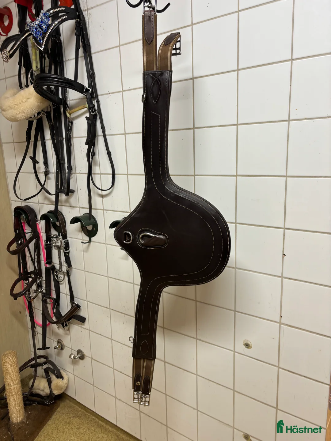 Sadeltillbehör hästutrustning till salu: Sadelgjord  i Örebro - Annons 1