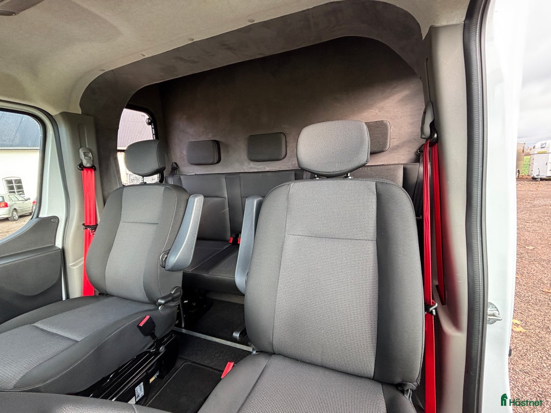 Hästlastbilar  fordon & transport till salu: Horsepartner Equimax 2024 • Stuteri • Hög lastvikt i Laholm - Annons 3