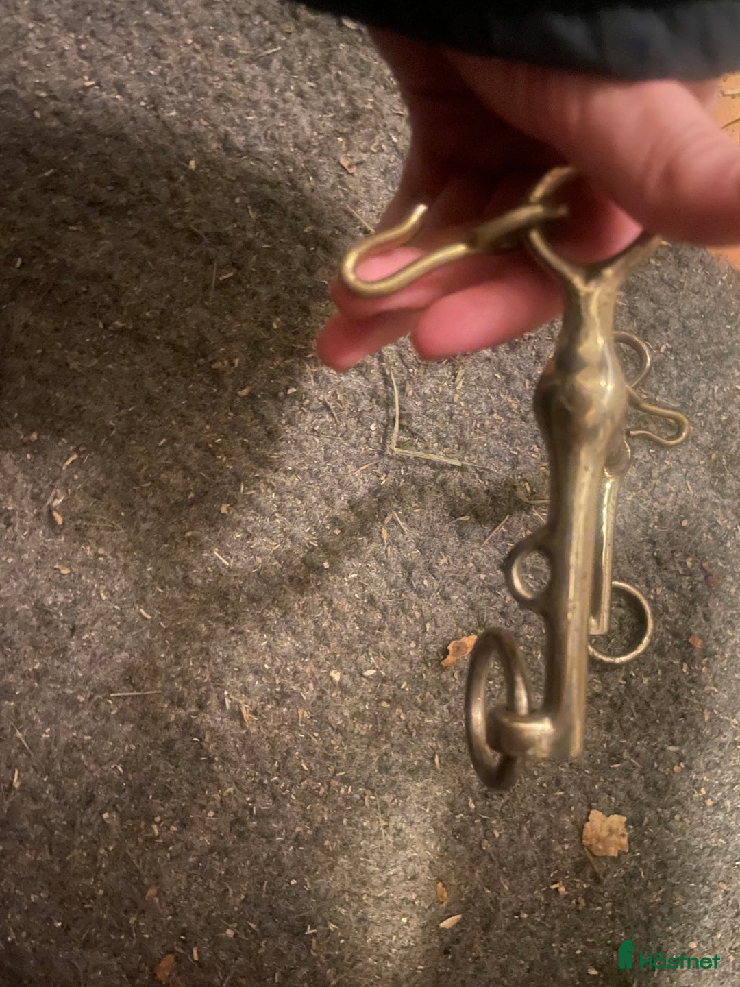 Övrig Hästutrustning hästutrustning till salu: Blandad hästutrustning!! - Annons 4